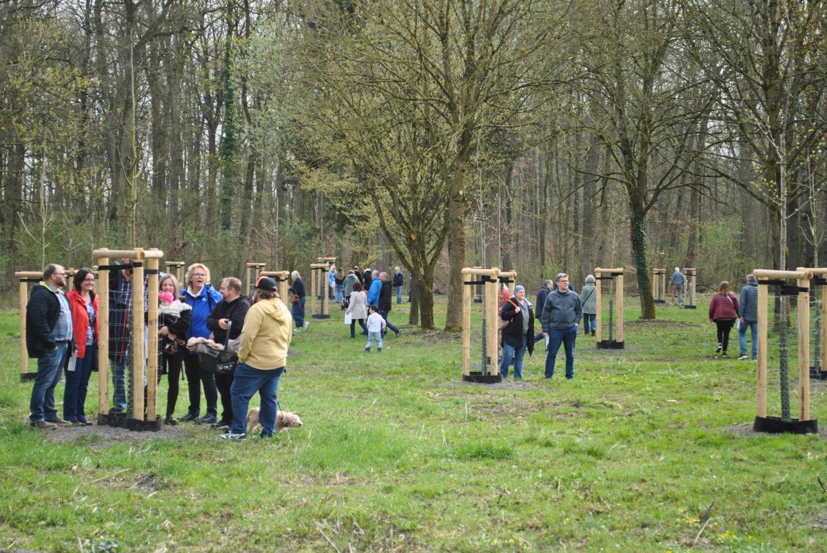 Bürgerwald Langst wächst weiter