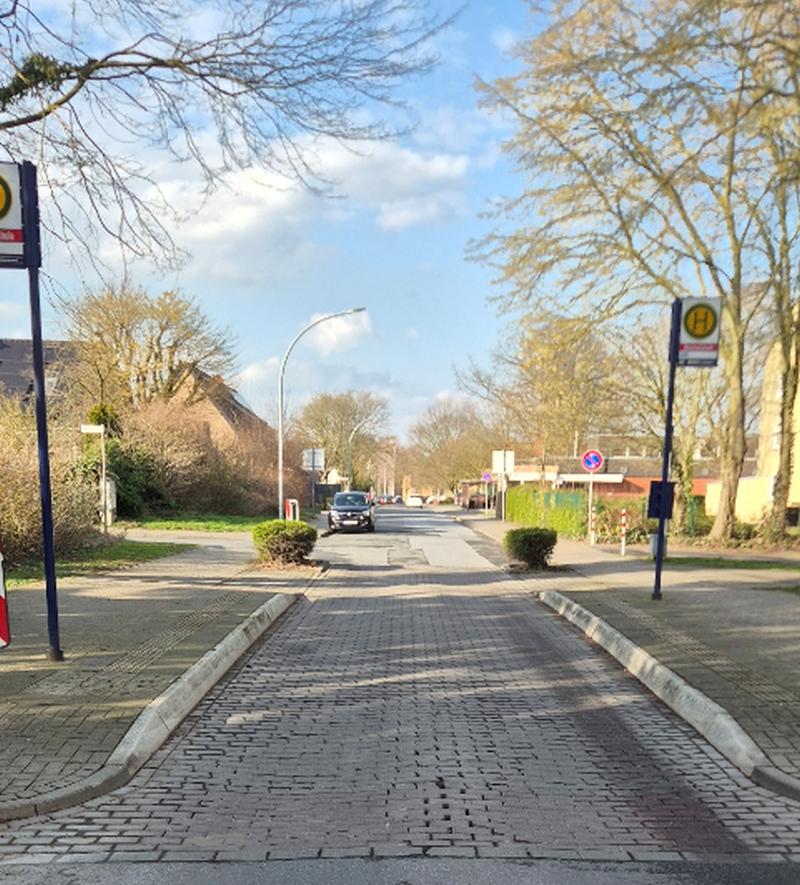 Bauarbeiten an der Mammutschule