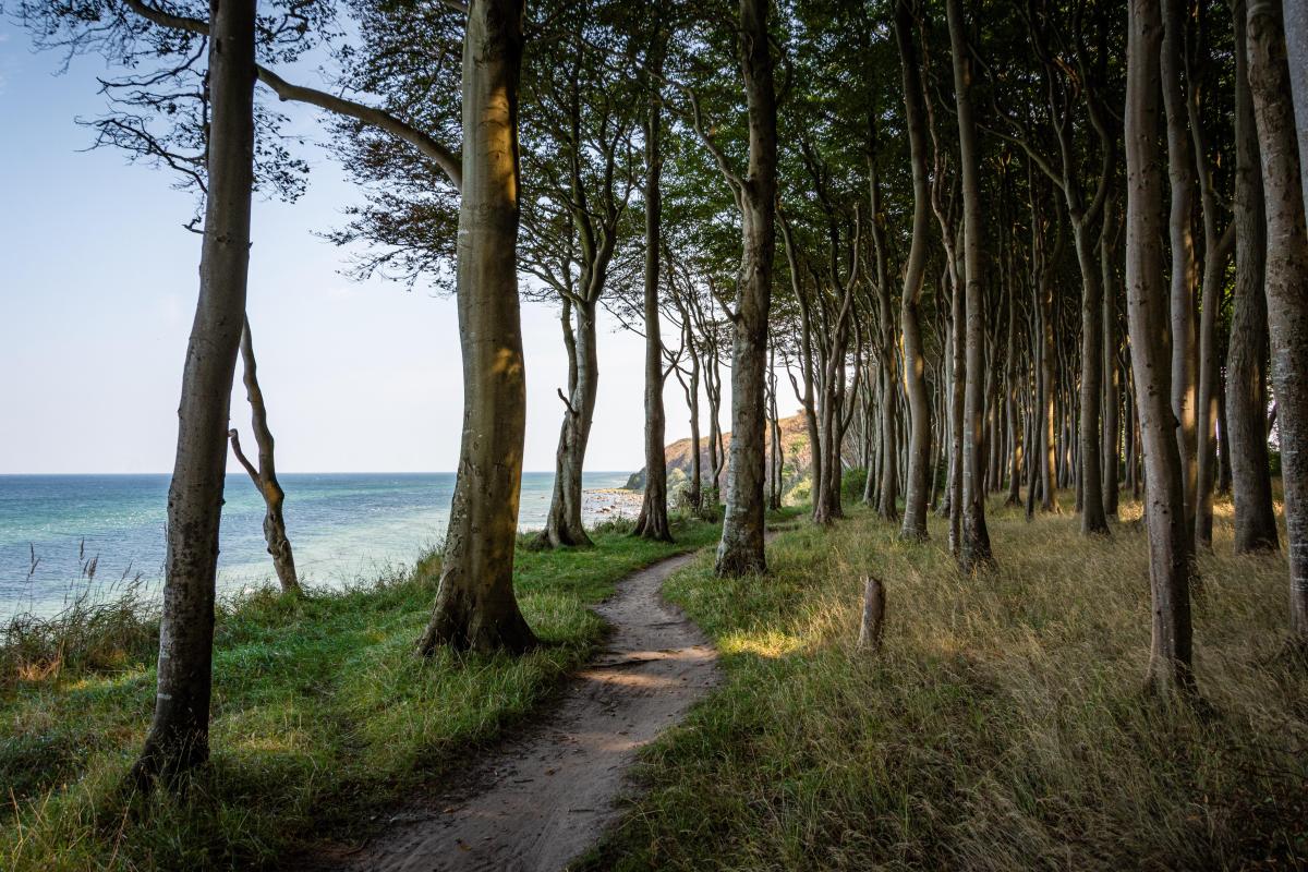 Mein Weg