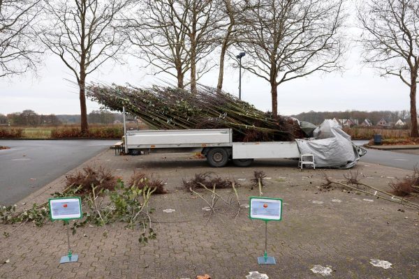 Apfelbäume Kreis 03-12-2025 02