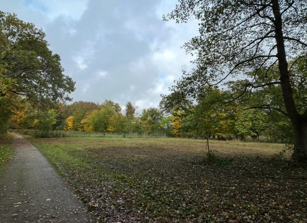 Bürgerwald Langst 27-11-2025